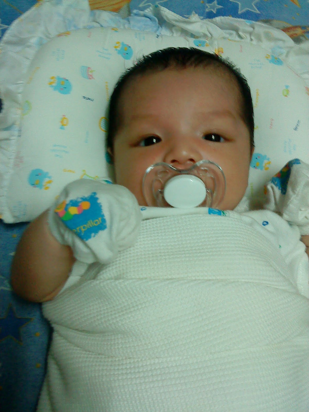 [DSC01586.JPG]