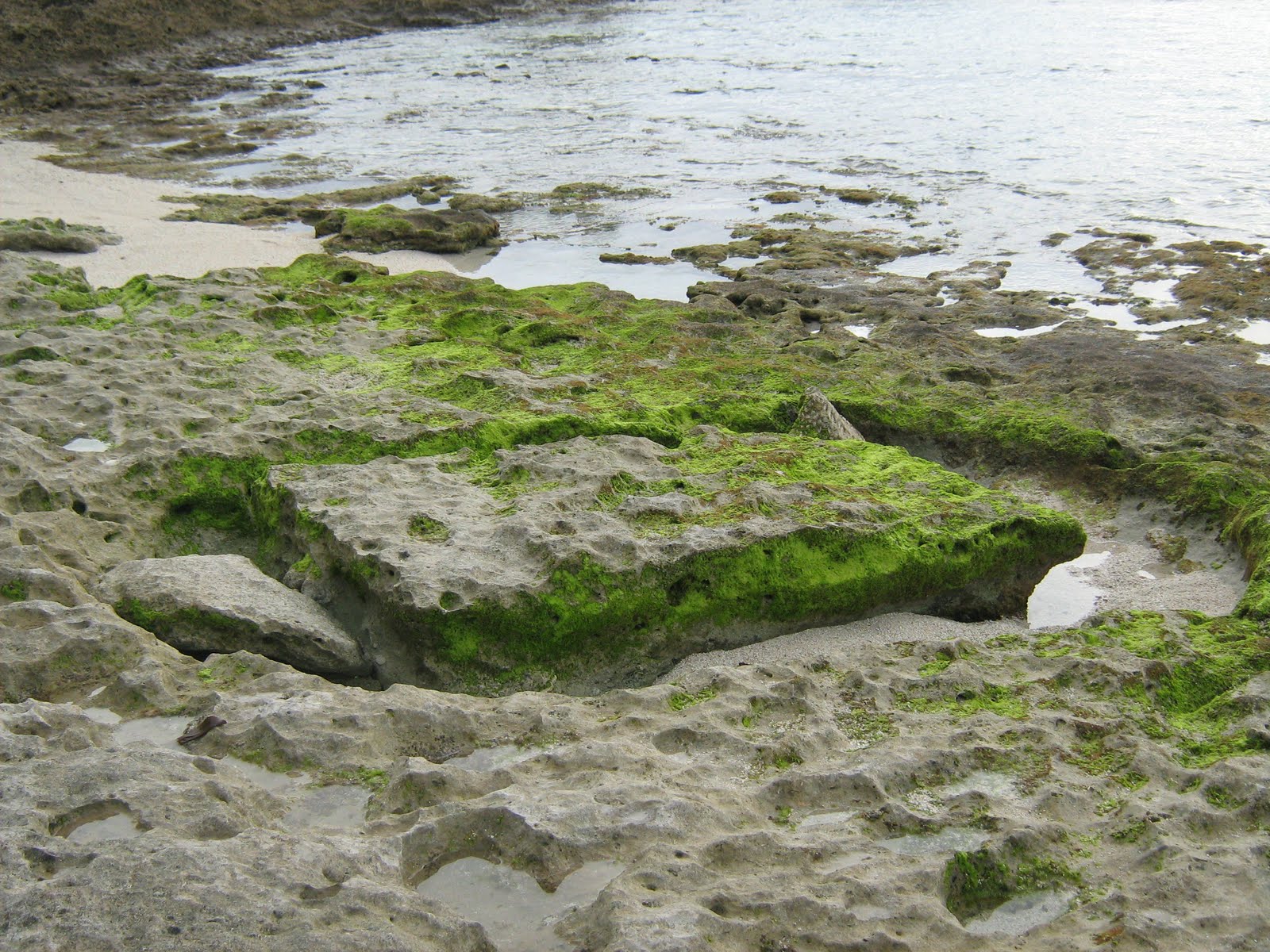 building on tongan islands
