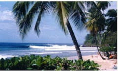 Mayaro Beach - Trinidad