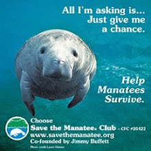 Adopt a manatee for a loved one: you just might save one life and greatly enrich another.