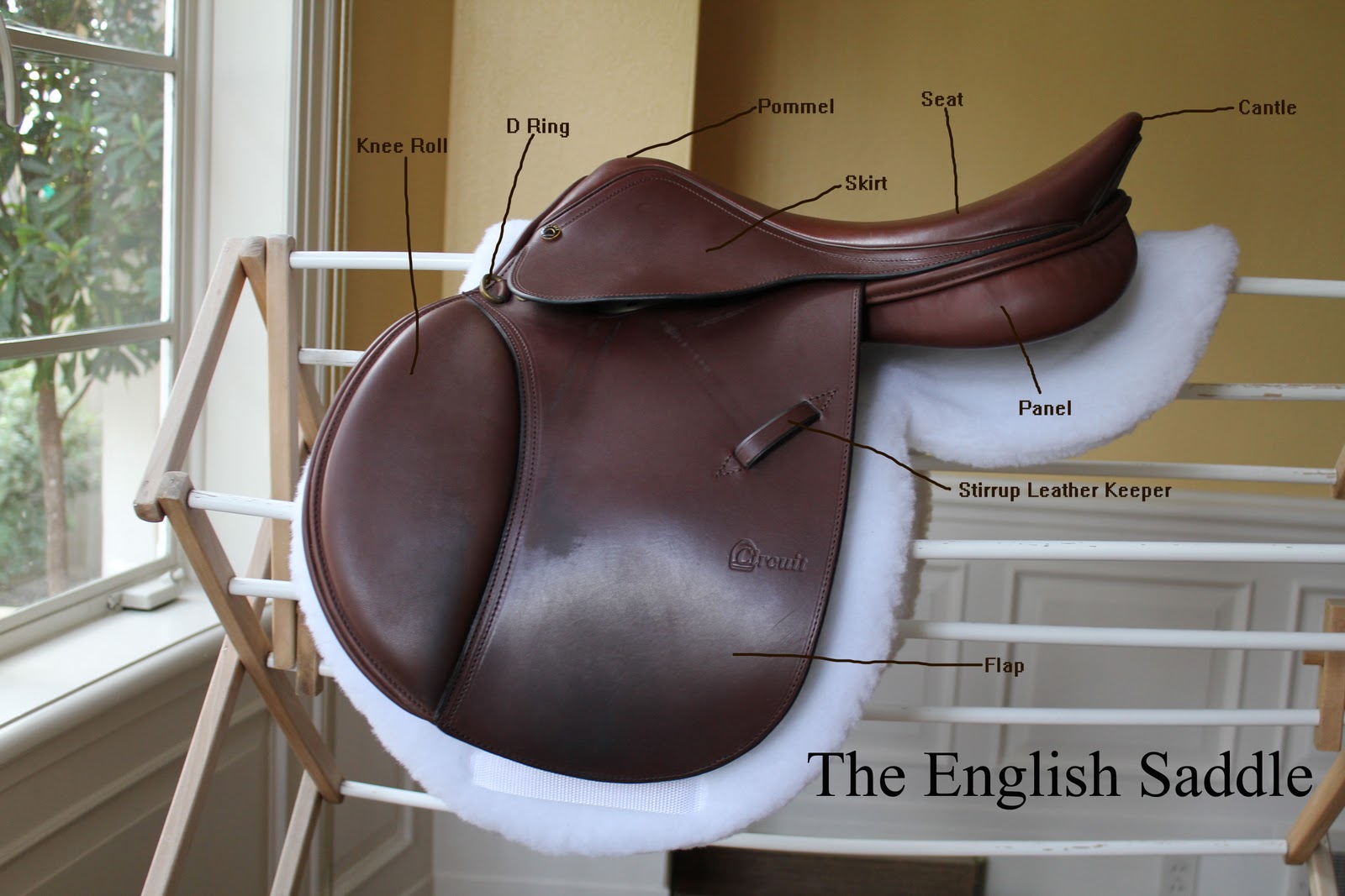 Eva's Office Parts of a Saddle