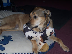 Maggie