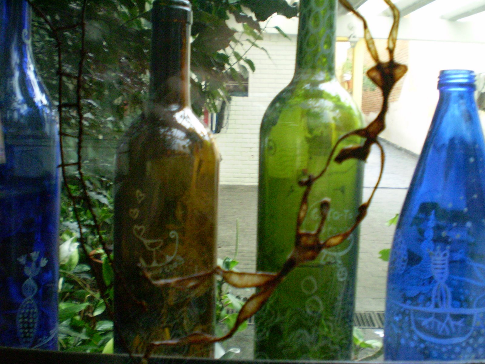 [PC290719.JPG]
