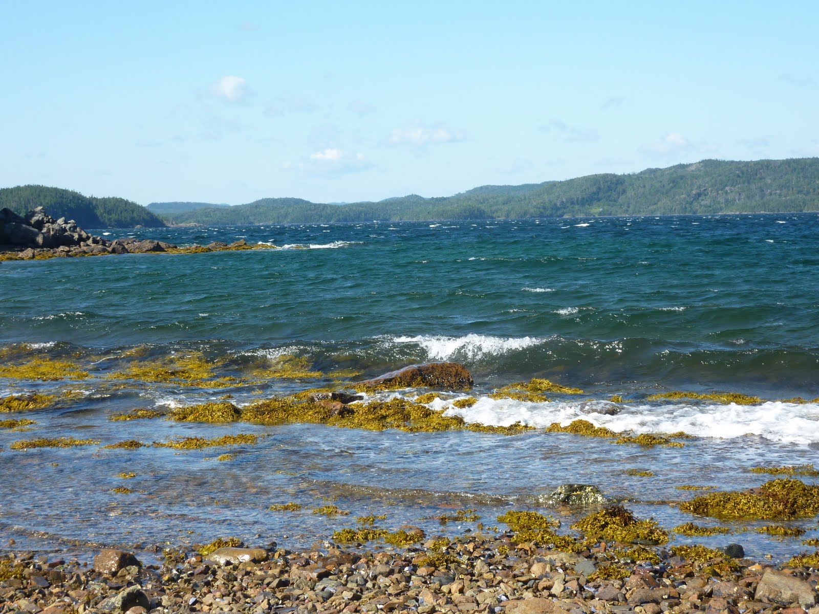 By the Sea Pilley's Island, Newfoundland