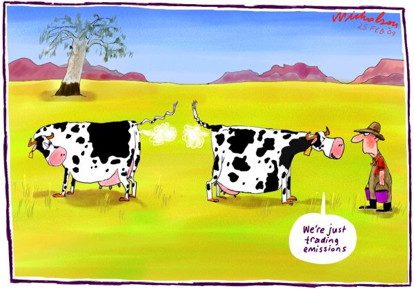 cows farting fire