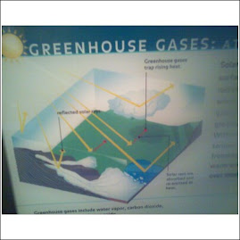 Diagram of how green house gases affect our Earth
