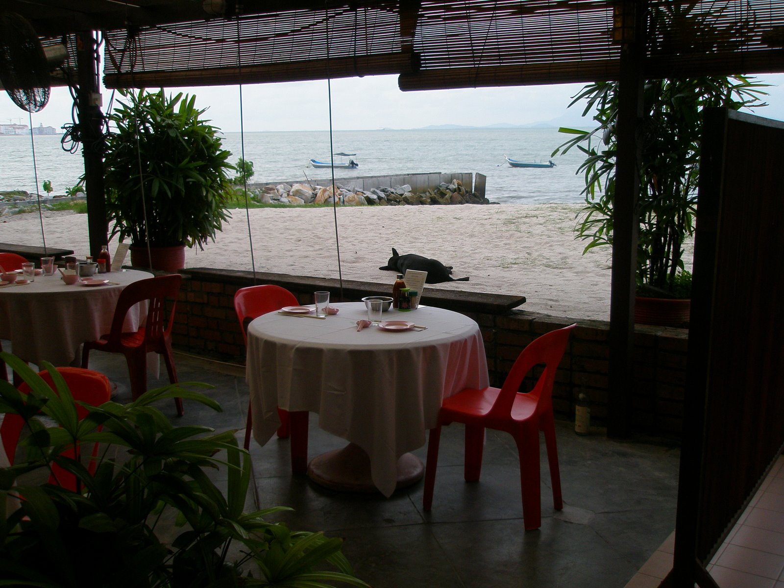 [Penang+trip+022.jpg]