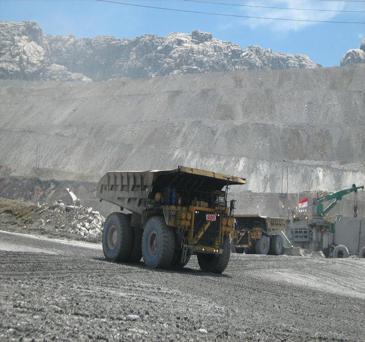 Indonesia Coal Mining Plant .