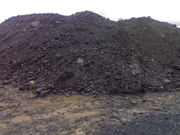 Indonesia Coal Mining Plant  .