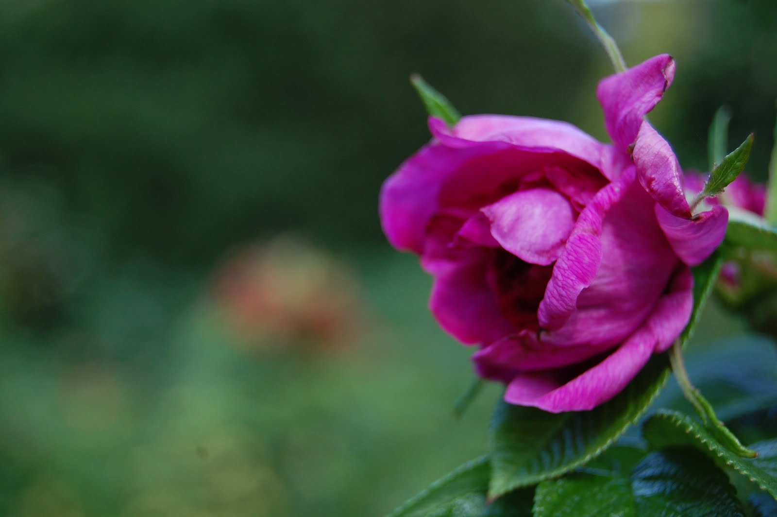 [DSC_0150.JPG]