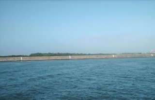 [PICT2158.JPG]
