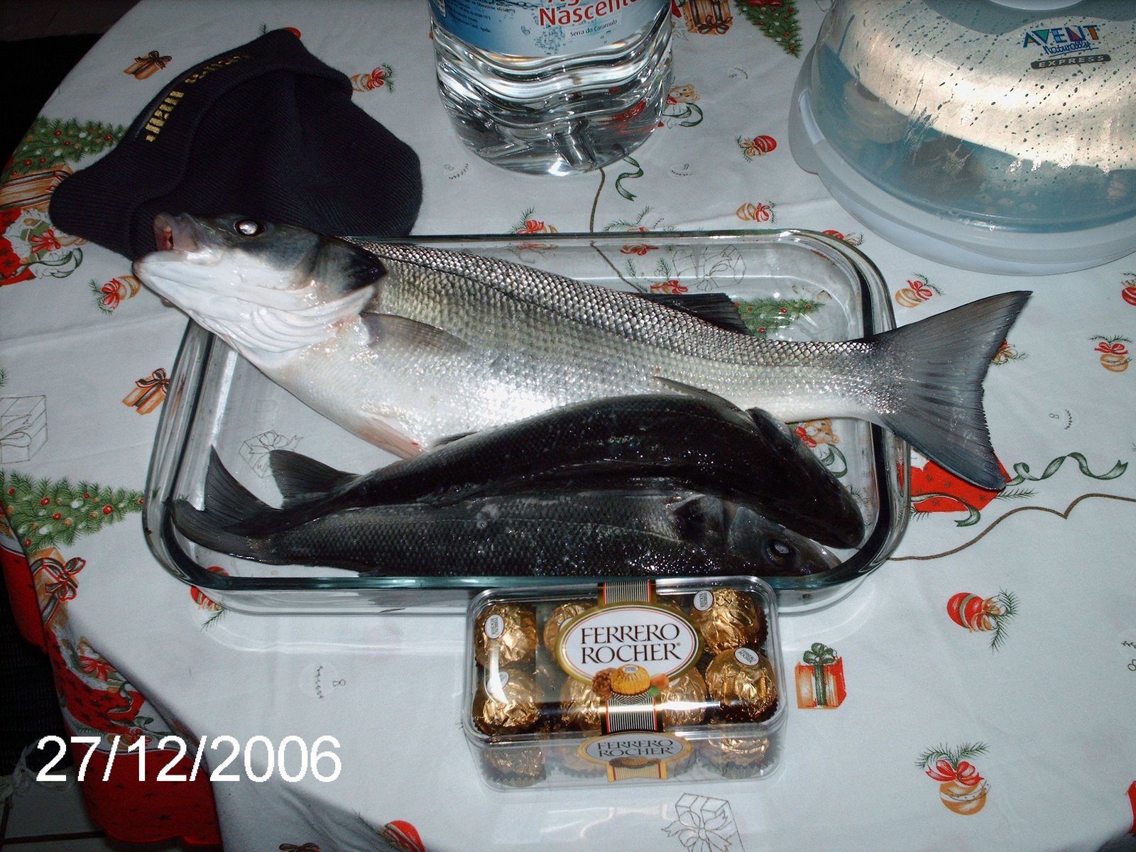 [Robalos_triangulo.1.jpg]