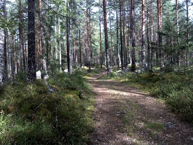 [DSC07257.JPG]
