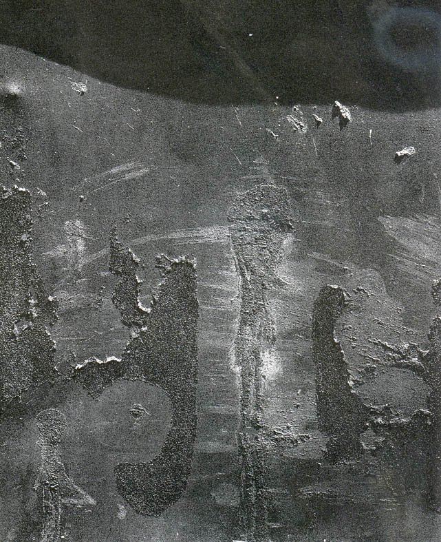 [siskind004.jpg]