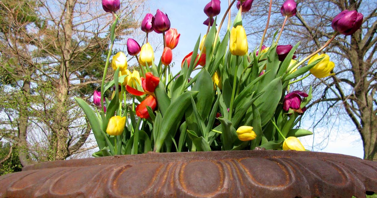 Long Island Daily Photo