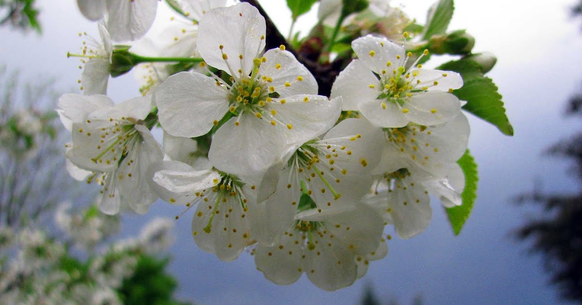 Long Island Daily Photo