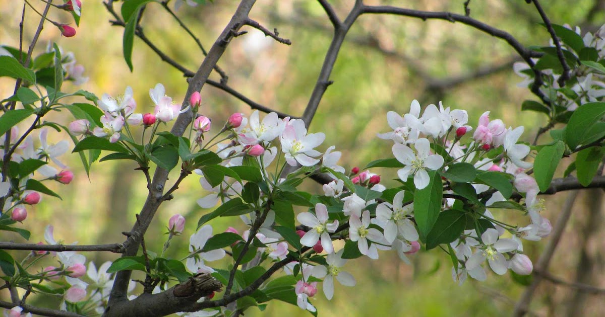 Long Island Daily Photo