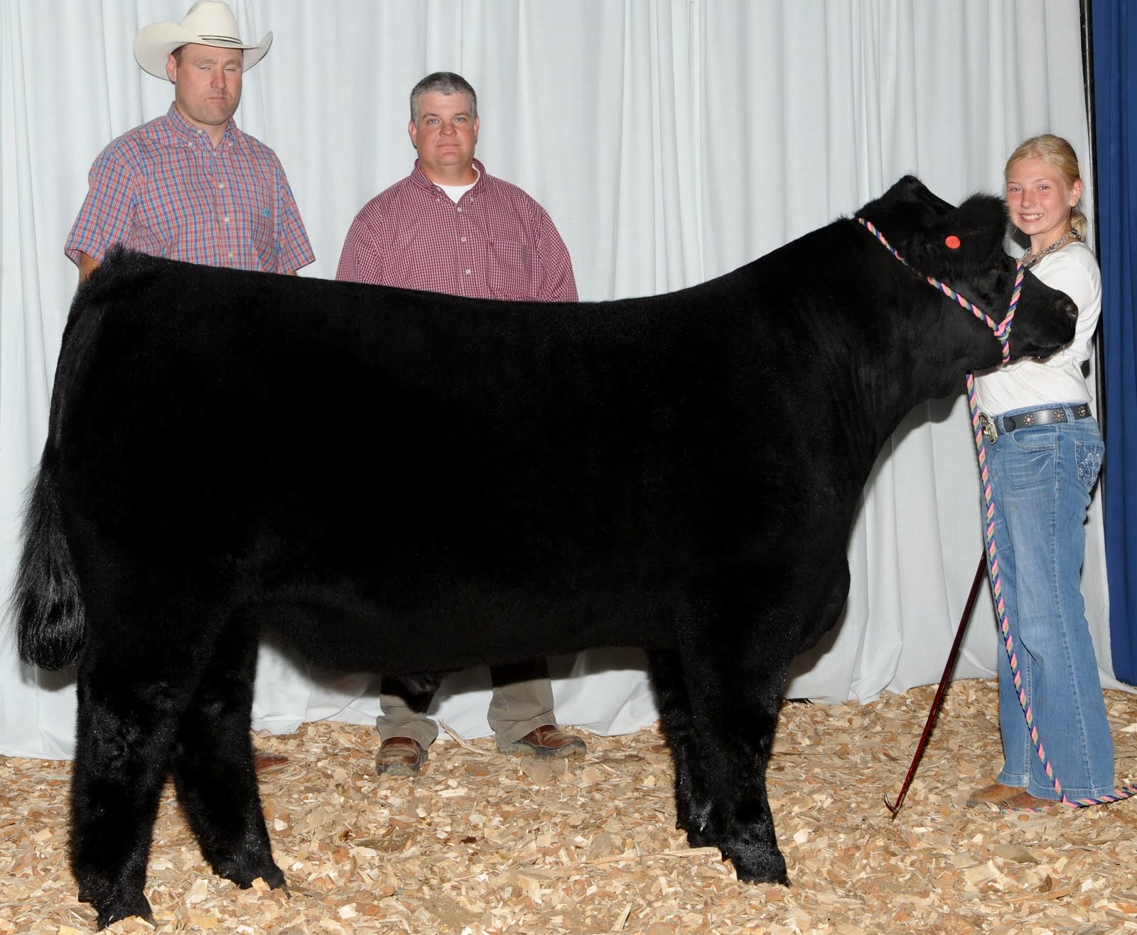 Another Monopoly Fat Steer Winner Matt Lautner Cattle The Leader in