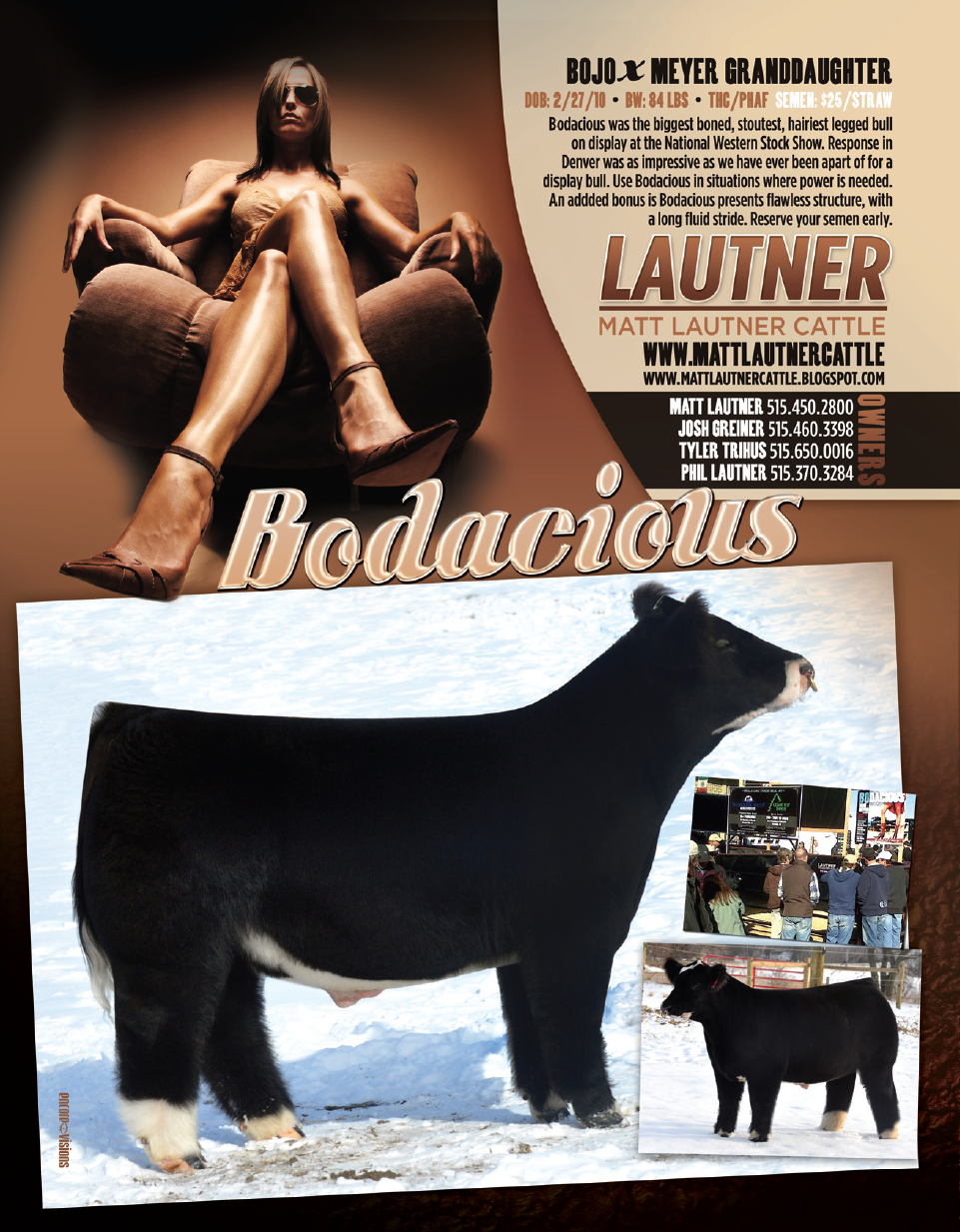 Bodacious Bull Sons Us...