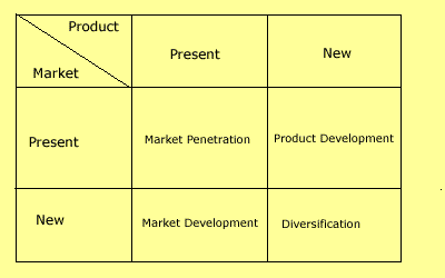 Broad-based strategy options and focus strategies