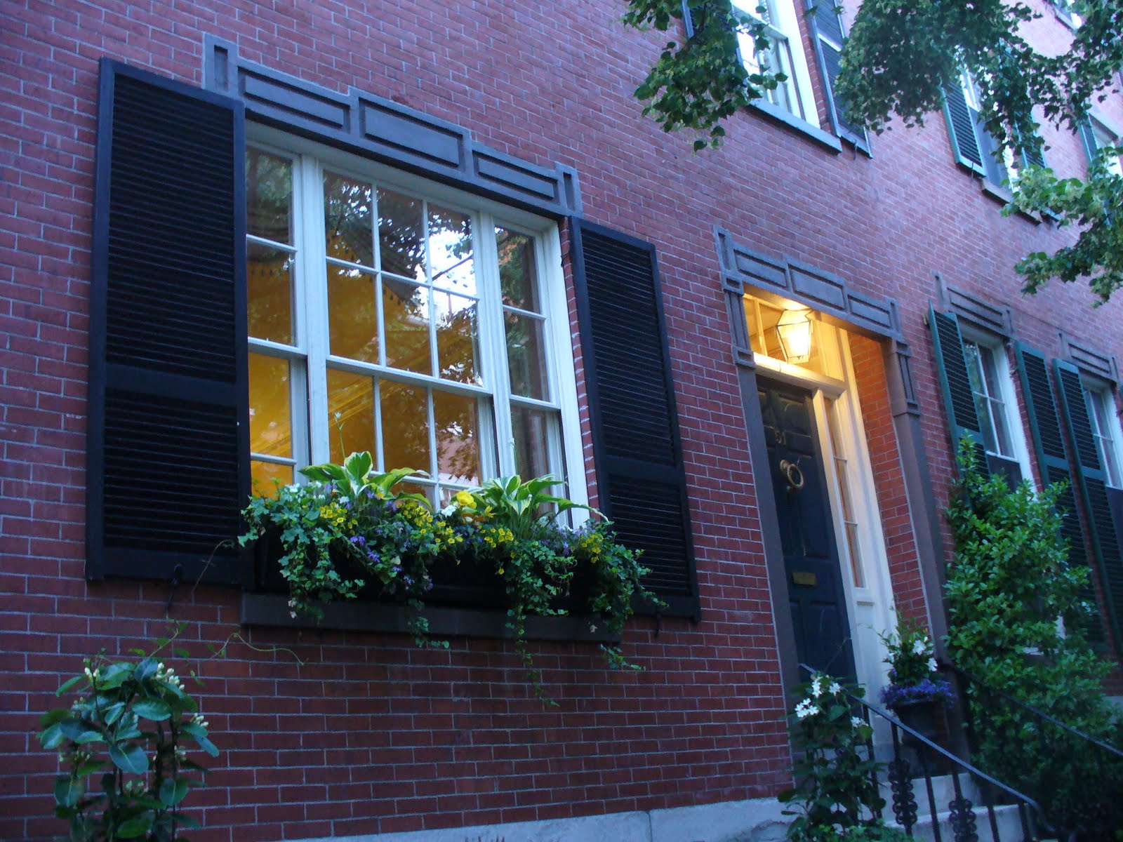 My Notting Hill: Beacon Hill Window Boxes, Planters & a Crushing Tree
