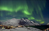 Ski Beneath Norway's Northern Lights