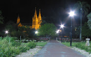 Cathedral from Adelaide Oval