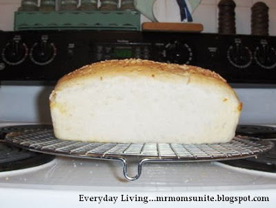 side view of sourdough bread