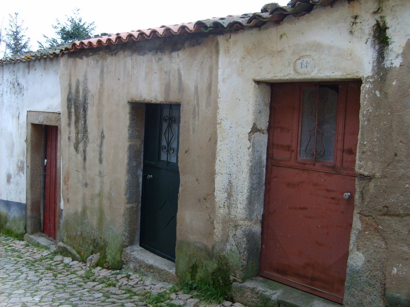 [S5000588.JPG]
