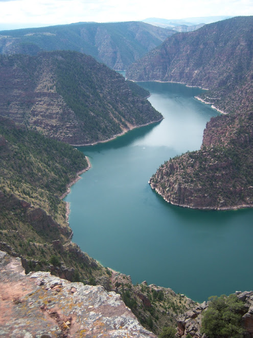 View From Red Canyon