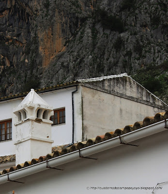 Cuaderno de Campo Payoyo: marzo 2010