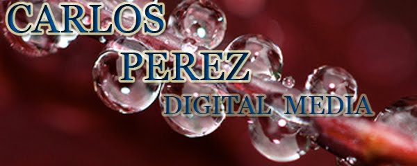 Carlos L. Perez Digital Media