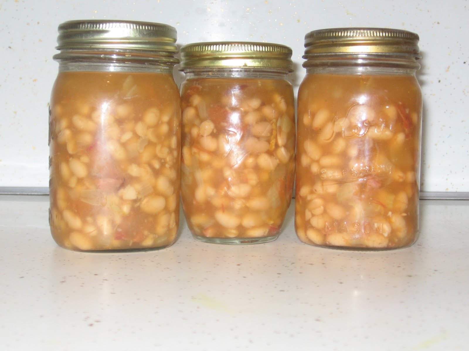 Preparedness365 Ham and Bean Soup Crockpot or Home Canned