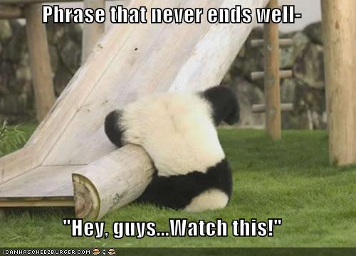 [funny-pictures-panda-does-a-trick-and-falls.jpg]
