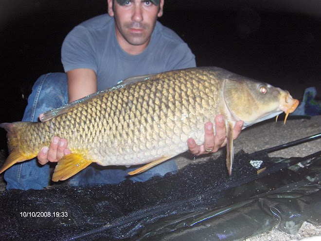 Carpa Comum 7,6 Kg  Aguieira 10 Outubro 2008