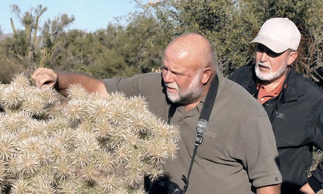 Flowering Trees Shrubs Of The Colorado Desert