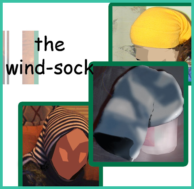 wind-sock