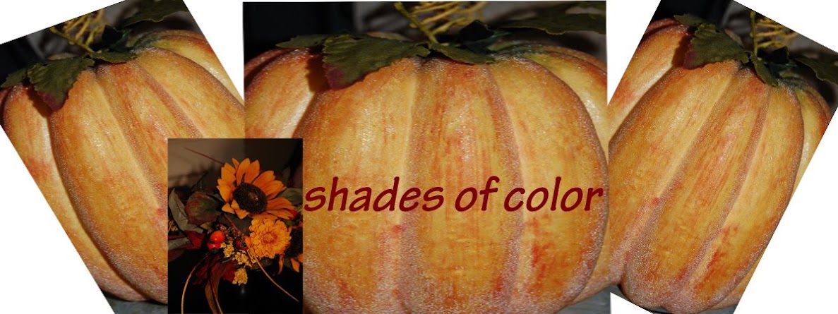 Shades of Color