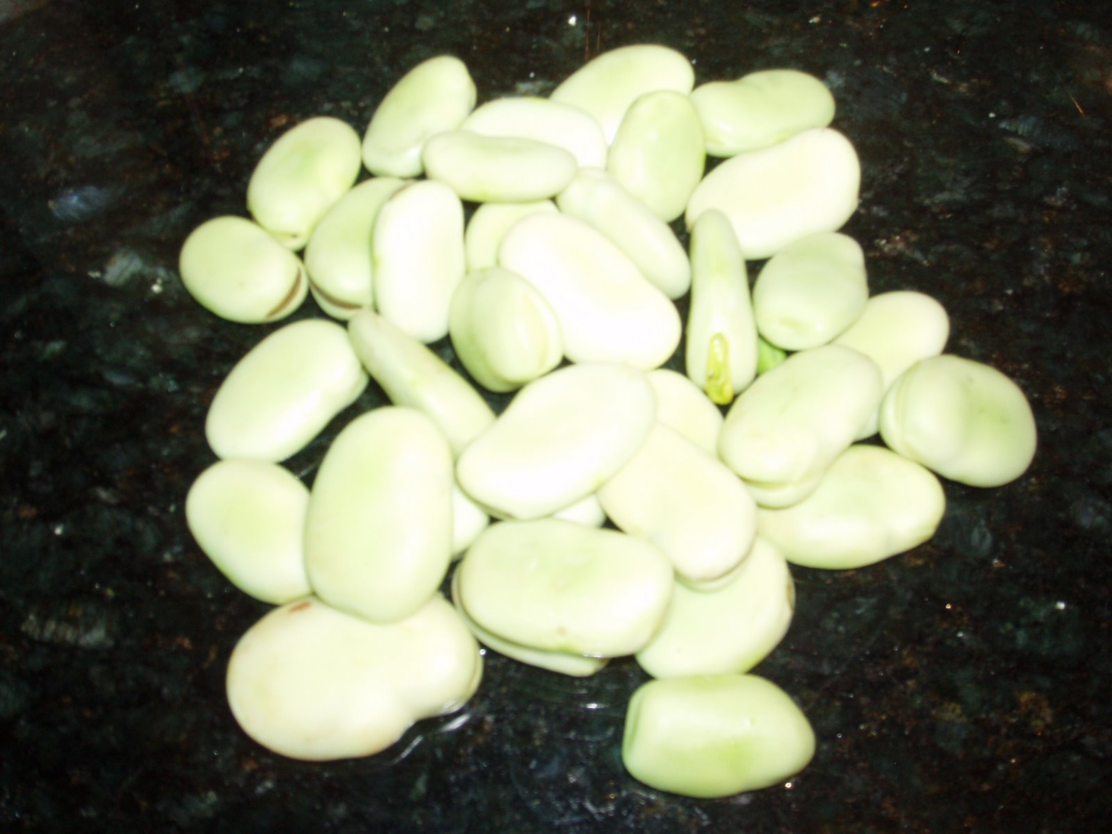 [favas.JPG]
