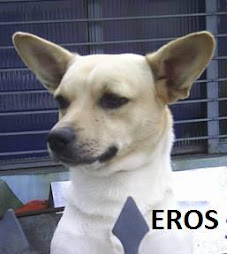 EROS