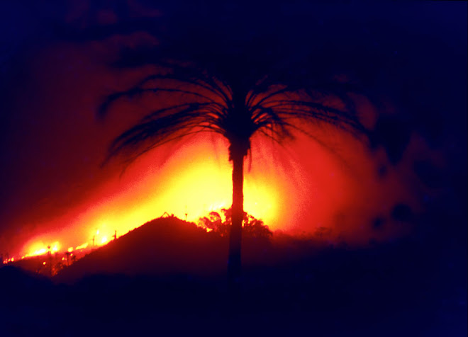 slash and burn farm prep at night