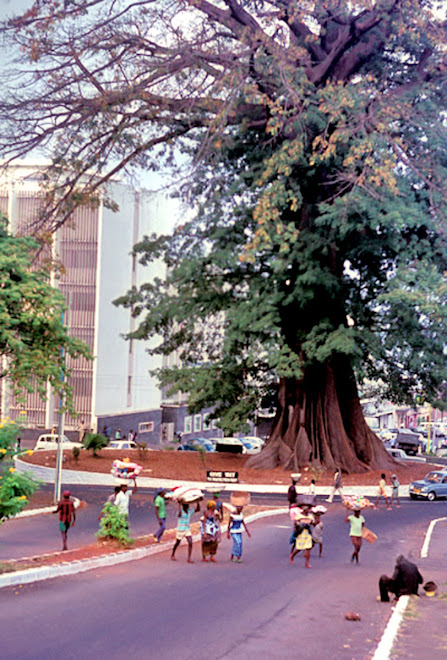 The Cotton Tree - Freetown