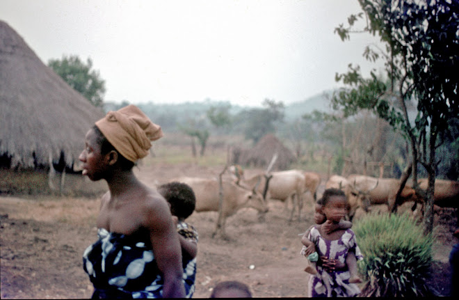 Kuranko village on Guinea border