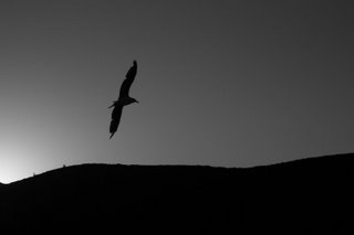 [IMG_0257+(117).jpg]