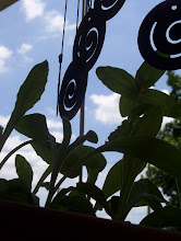 A Hanging Basket of Flowers with Wind Chimes