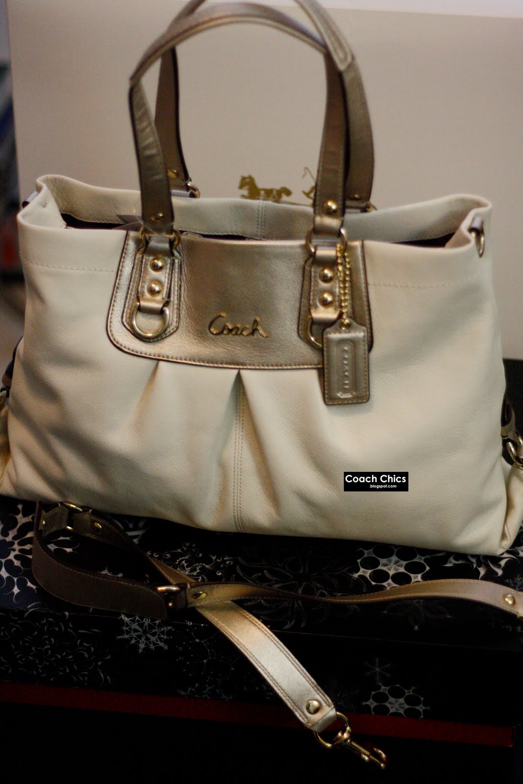 Ashley Leather Carryall