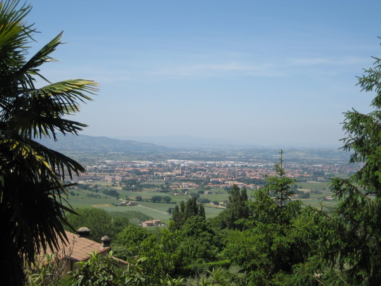[IMG_1693.JPG]