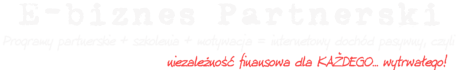 E-Praca - w domu, dodatkowa, przez Internet