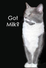 Got Milk?