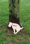 Funny Dog Sign. Funny dog sign in yard. I love this sign. (funny dog sign)
